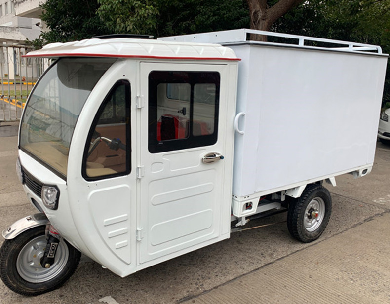 Weather Proof Enclosed E Cargo Tricycle(3W)